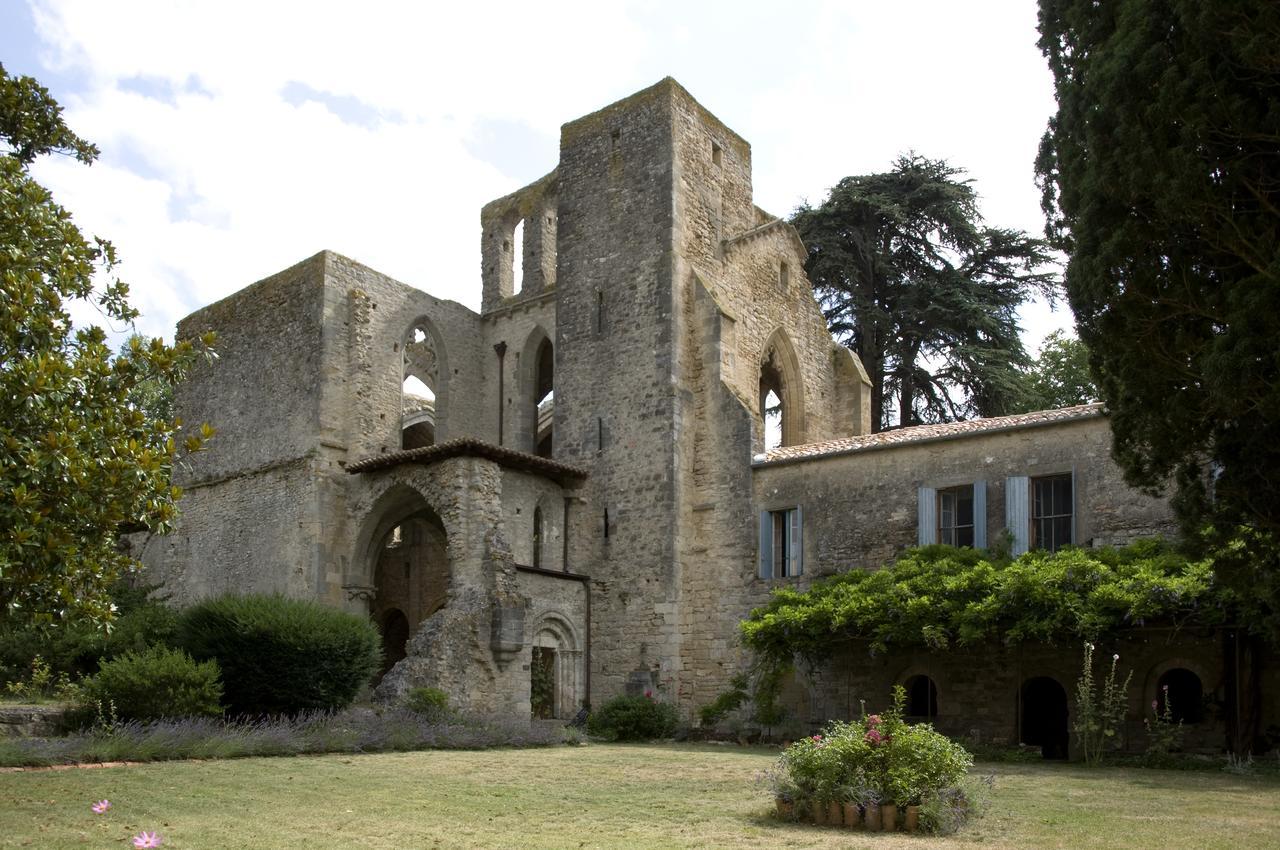 Abbaye De Villelongue Saint-Martin-le-Vieil Kültér fotó