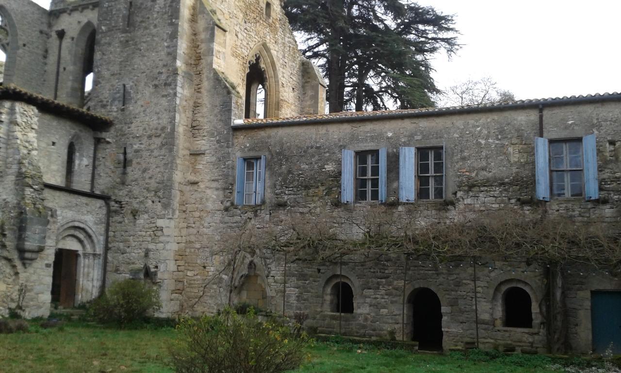 Abbaye De Villelongue Saint-Martin-le-Vieil Kültér fotó